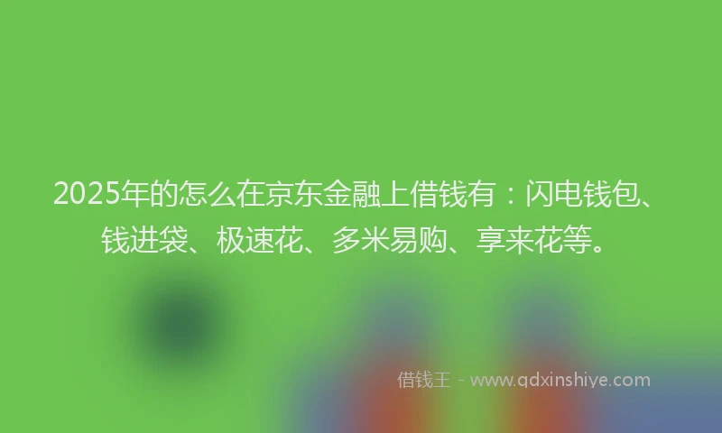 2025年的怎么在京东金融上借钱有：闪电钱包、钱进袋、极速花、多米易购、享来花等。