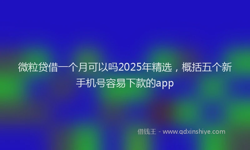 微粒贷借一个月可以吗2025年精选，概括五个新手机号容易下款的app