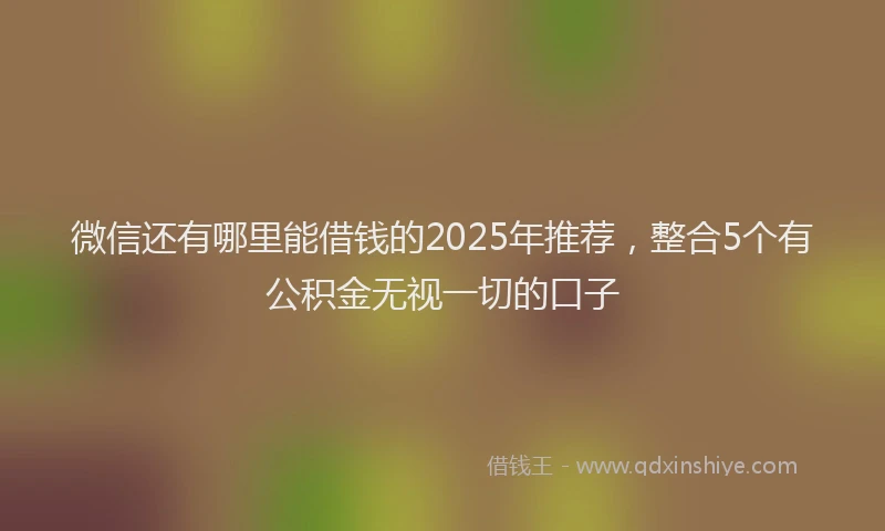 微信还有哪里能借钱的2025年推荐，整合5个有公积金无视一切的口子