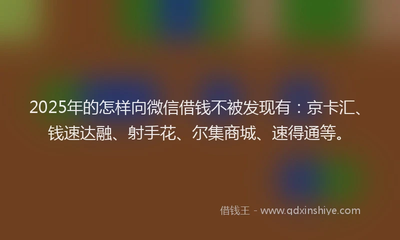 2025年的怎样向微信借钱不被发现有：京卡汇、钱速达融、射手花、尔集商城、速得通等。