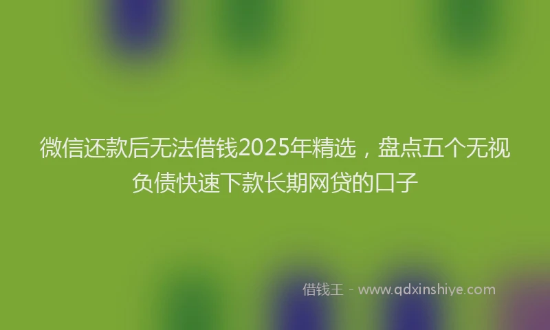 微信还款后无法借钱2025年精选，盘点五个无视负债快速下款长期网贷的口子