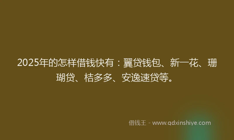 2025年的怎样借钱快有：翼贷钱包、新一花、珊瑚贷、桔多多、安逸速贷等。