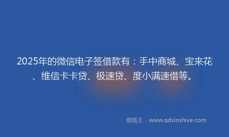 2025年的微信电子签借款有：手中商城、宝来花、维信卡卡贷、极速贷、度小满速借等。
