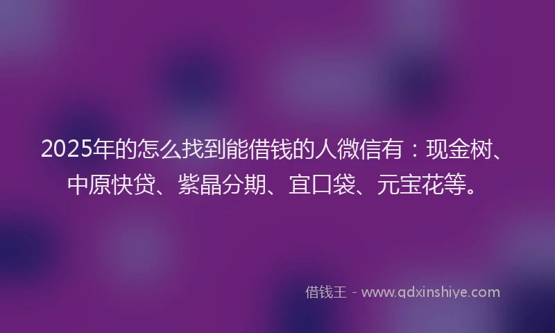 2025年的怎么找到能借钱的人微信有：现金树、中原快贷、紫晶分期、宜口袋、元宝花等。