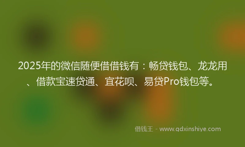 2025年的微信随便借借钱有：畅贷钱包、龙龙用、借款宝速贷通、宜花呗、易贷Pro钱包等。