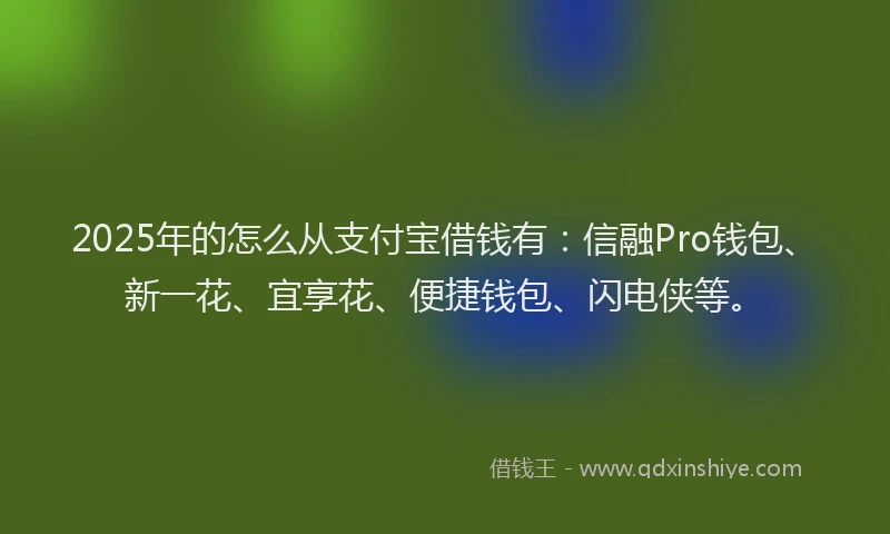 2025年的怎么从支付宝借钱有：信融Pro钱包、新一花、宜享花、便捷钱包、闪电侠等。