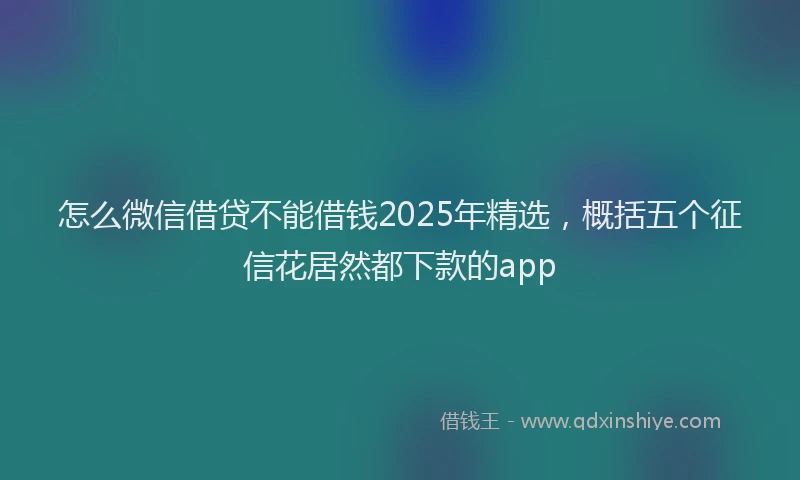 怎么微信借贷不能借钱2025年精选，概括五个征信花居然都下款的app