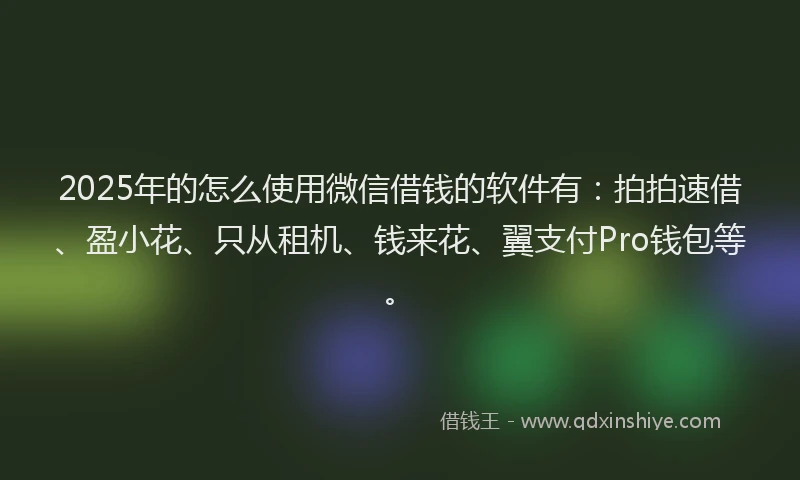 2025年的怎么使用微信借钱的软件有：拍拍速借、盈小花、只从租机、钱来花、翼支付Pro钱包等。