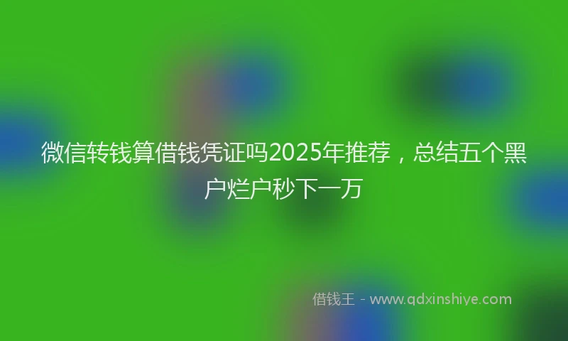 微信转钱算借钱凭证吗2025年推荐，总结五个黑户烂户秒下一万