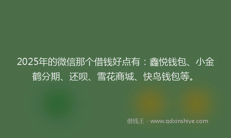 2025年的微信那个借钱好点有：鑫悦钱包、小金鹤分期、还呗、雪花商城、快鸟钱包等。