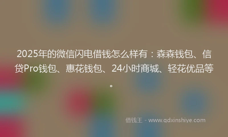 2025年的微信闪电借钱怎么样有：森森钱包、信贷Pro钱包、惠花钱包、24小时商城、轻花优品等。