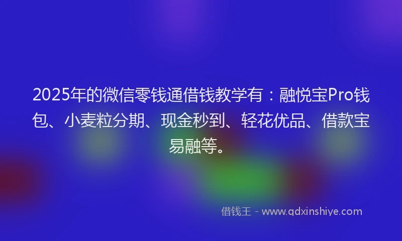 2025年的微信零钱通借钱教学有：融悦宝Pro钱包、小麦粒分期、现金秒到、轻花优品、借款宝易融等。