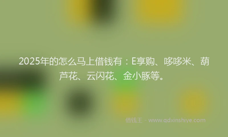 2025年的怎么马上借钱有：E享购、哆哆米、葫芦花、云闪花、金小豚等。