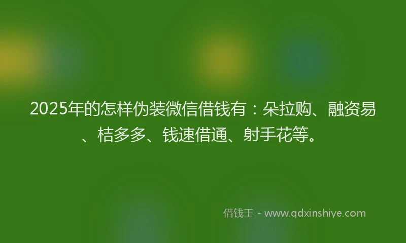 2025年的怎样伪装微信借钱有：朵拉购、融资易、桔多多、钱速借通、射手花等。
