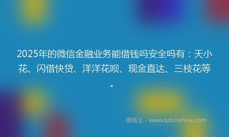 2025年的微信金融业务能借钱吗安全吗有：天小花、闪借快贷、洋洋花呗、现金直达、三枝花等。