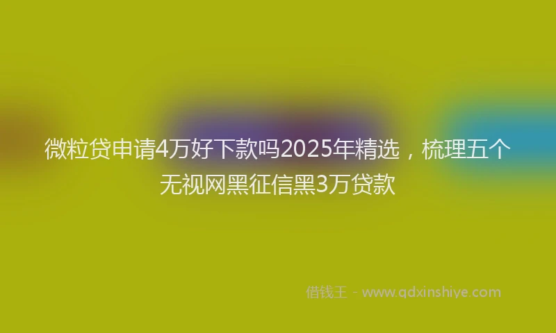 微粒贷申请4万好下款吗2025年精选，梳理五个无视网黑征信黑3万贷款