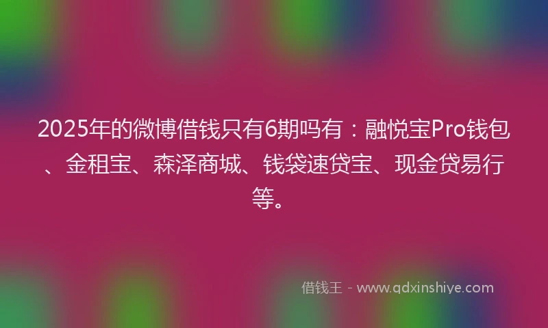 2025年的微博借钱只有6期吗有：融悦宝Pro钱包、金租宝、森泽商城、钱袋速贷宝、现金贷易行等。