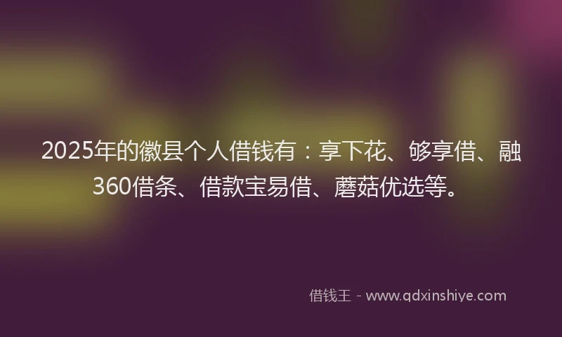 2025年的徽县个人借钱有：享下花、够享借、融360借条、借款宝易借、蘑菇优选等。
