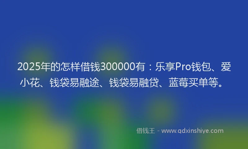 2025年的怎样借钱300000有：乐享Pro钱包、爱小花、钱袋易融途、钱袋易融贷、蓝莓买单等。