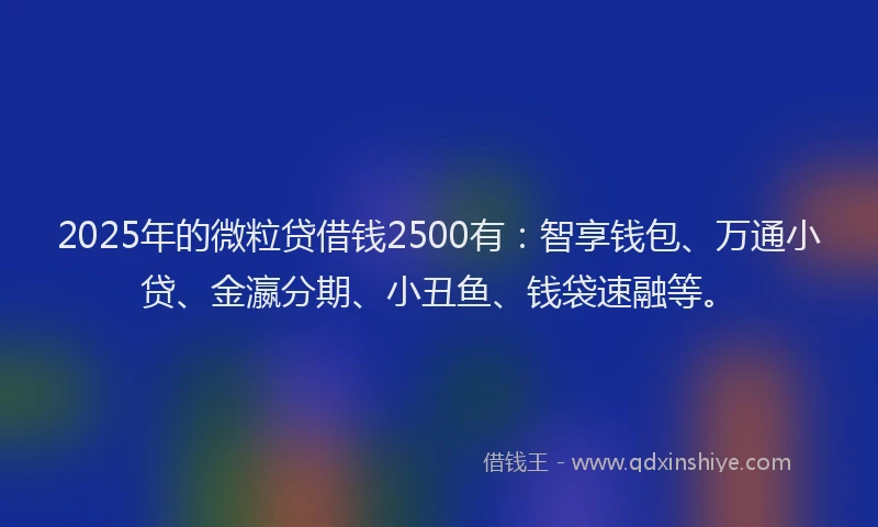 2025年的微粒贷借钱2500有：智享钱包、万通小贷、金瀛分期、小丑鱼、钱袋速融等。