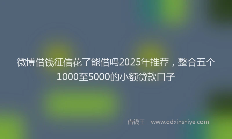 微博借钱征信花了能借吗2025年推荐，整合五个1000至5000的小额贷款口子