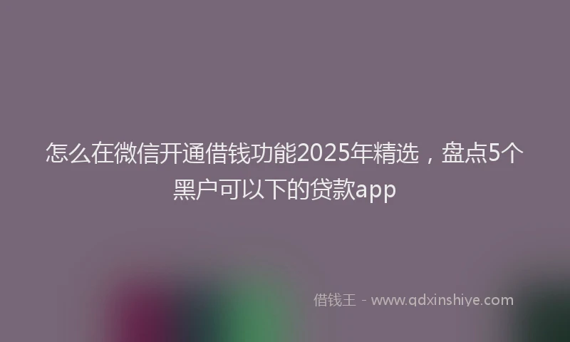 怎么在微信开通借钱功能2025年精选，盘点5个黑户可以下的贷款app