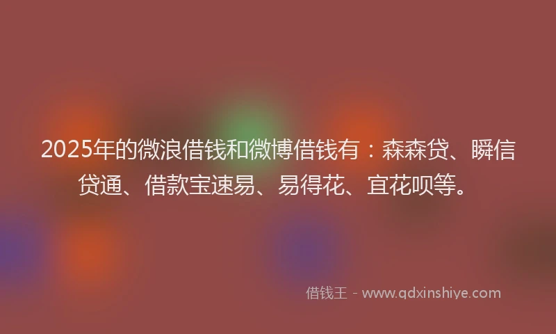 2025年的微浪借钱和微博借钱有：森森贷、瞬信贷通、借款宝速易、易得花、宜花呗等。