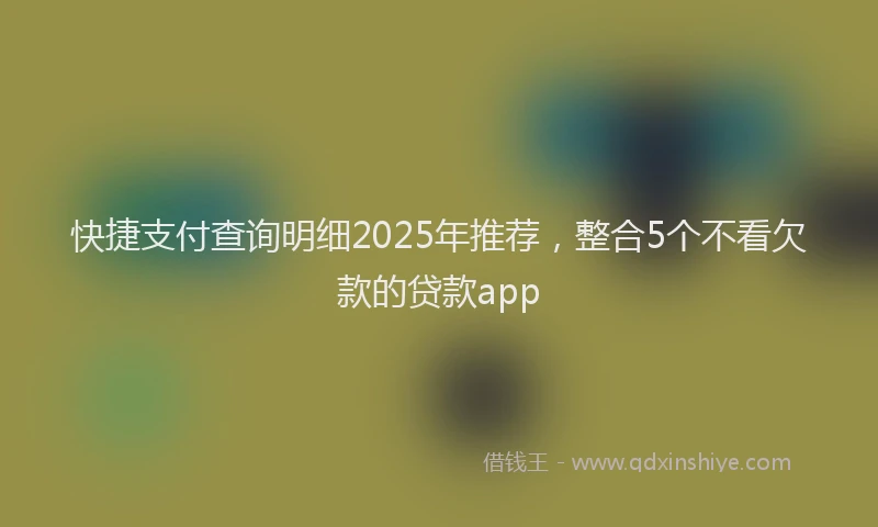 快捷支付查询明细2025年推荐，整合5个不看欠款的贷款app