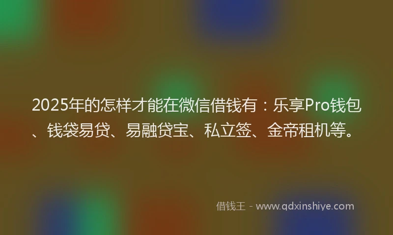 2025年的怎样才能在微信借钱有：乐享Pro钱包、钱袋易贷、易融贷宝、私立签、金帝租机等。