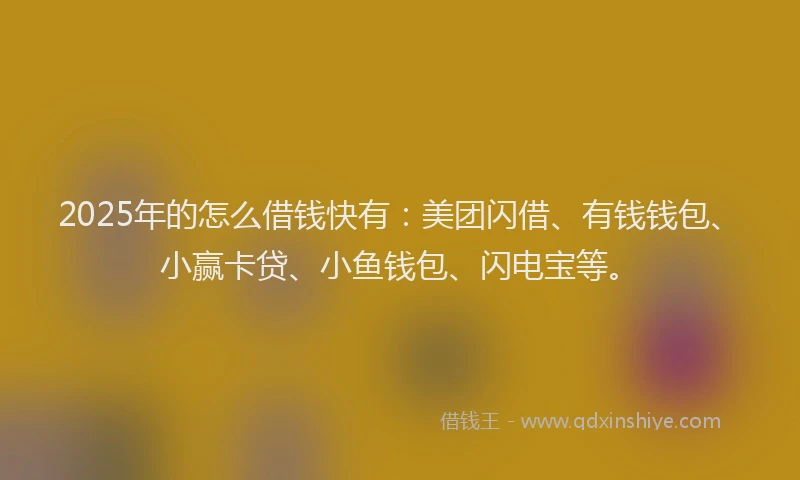 2025年的怎么借钱快有：美团闪借、有钱钱包、小赢卡贷、小鱼钱包、闪电宝等。