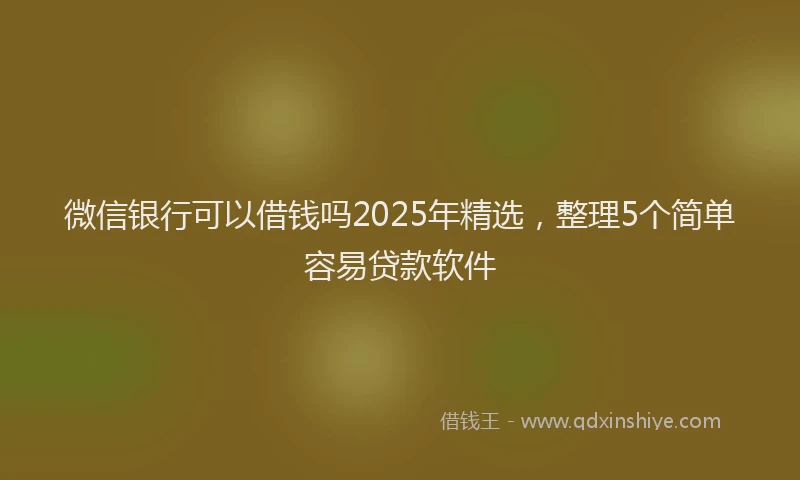 微信银行可以借钱吗2025年精选，整理5个简单容易贷款软件