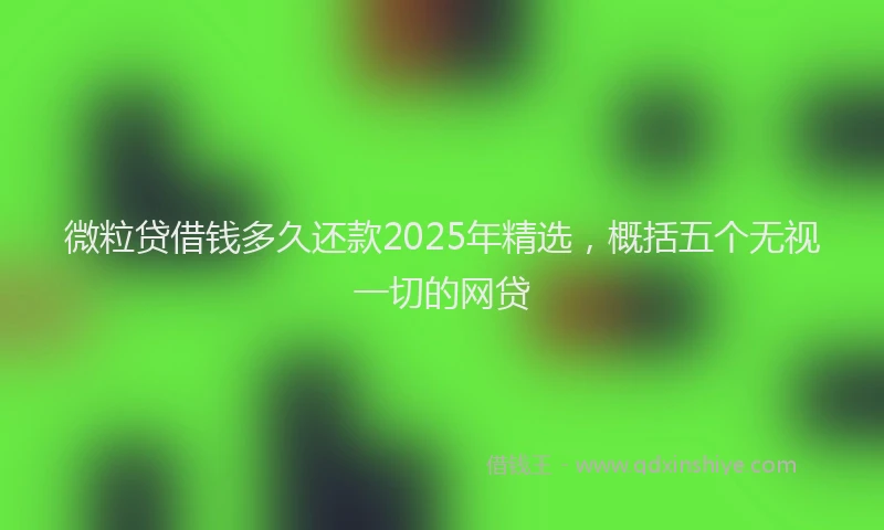 微粒贷借钱多久还款2025年精选，概括五个无视一切的网贷
