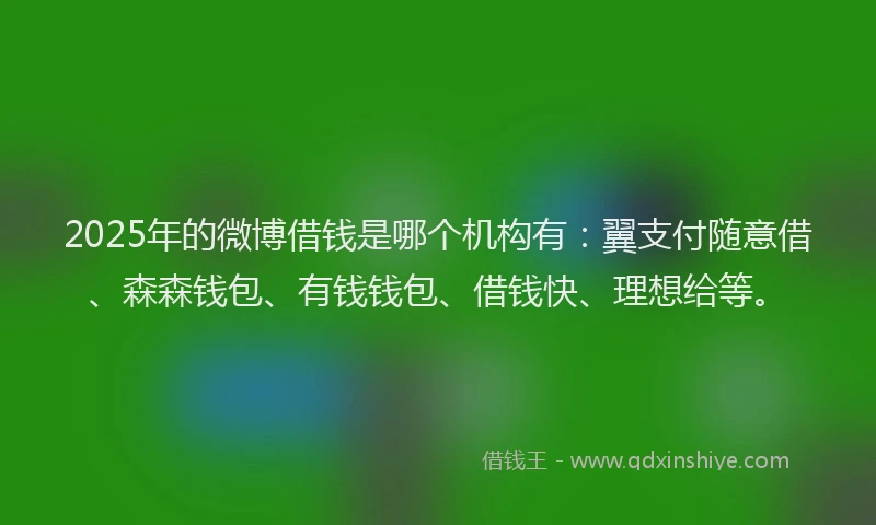 2025年的微博借钱是哪个机构有：翼支付随意借、森森钱包、有钱钱包、借钱快、理想给等。