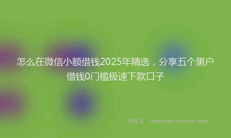 怎么在微信小额借钱2025年精选，分享五个黑户借钱0门槛极速下款口子