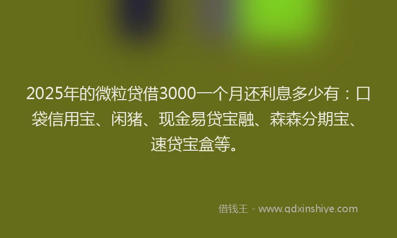 2025年的微粒贷借3000一个月还利息多少有：口袋信用宝、闲猪、现金易贷宝融、森森分期宝、速贷宝盒等。