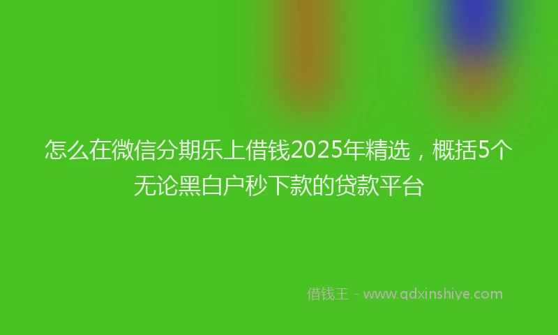 怎么在微信分期乐上借钱2025年精选，概括5个无论黑白户秒下款的贷款平台