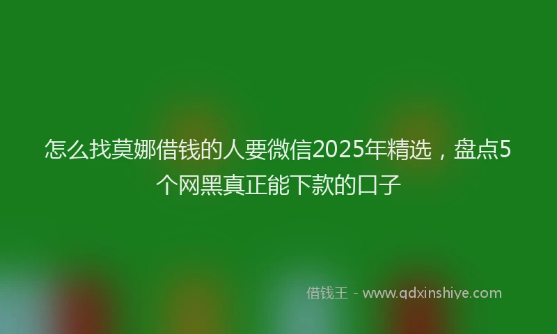 怎么找莫娜借钱的人要微信2025年精选，盘点5个网黑真正能下款的口子