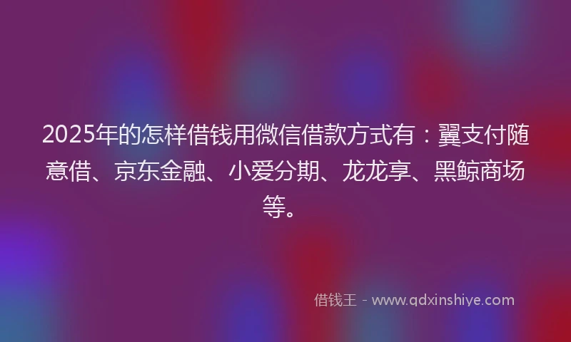 2025年的怎样借钱用微信借款方式有：翼支付随意借、京东金融、小爱分期、龙龙享、黑鲸商场等。
