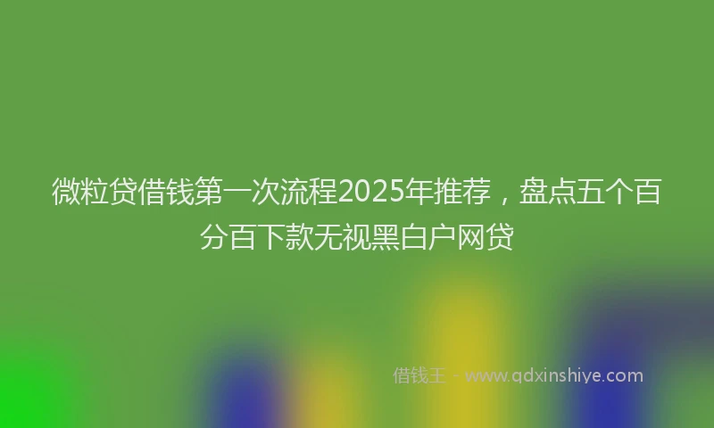微粒贷借钱第一次流程2025年推荐，盘点五个百分百下款无视黑白户网贷