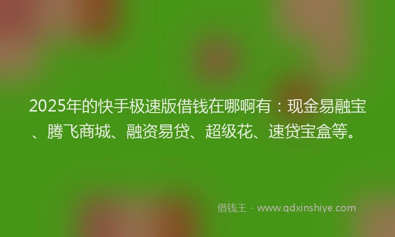 2025年的快手极速版借钱在哪啊有：现金易融宝、腾飞商城、融资易贷、超级花、速贷宝盒等。