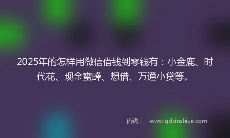 2025年的怎样用微信借钱到零钱有：小金鹿、时代花、现金蜜蜂、想借、万通小贷等。