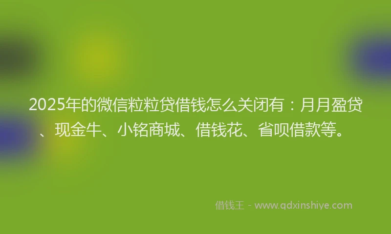 2025年的微信粒粒贷借钱怎么关闭有：月月盈贷、现金牛、小铭商城、借钱花、省呗借款等。