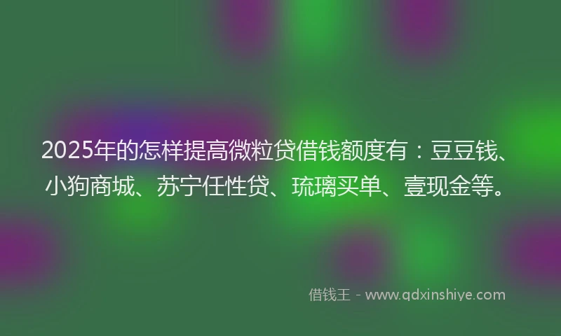 2025年的怎样提高微粒贷借钱额度有：豆豆钱、小狗商城、苏宁任性贷、琉璃买单、壹现金等。