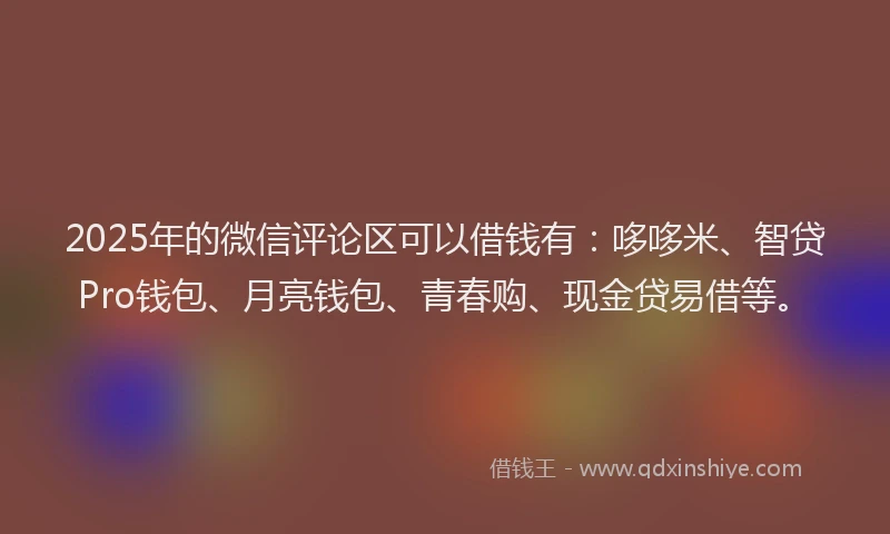 2025年的微信评论区可以借钱有：哆哆米、智贷Pro钱包、月亮钱包、青春购、现金贷易借等。