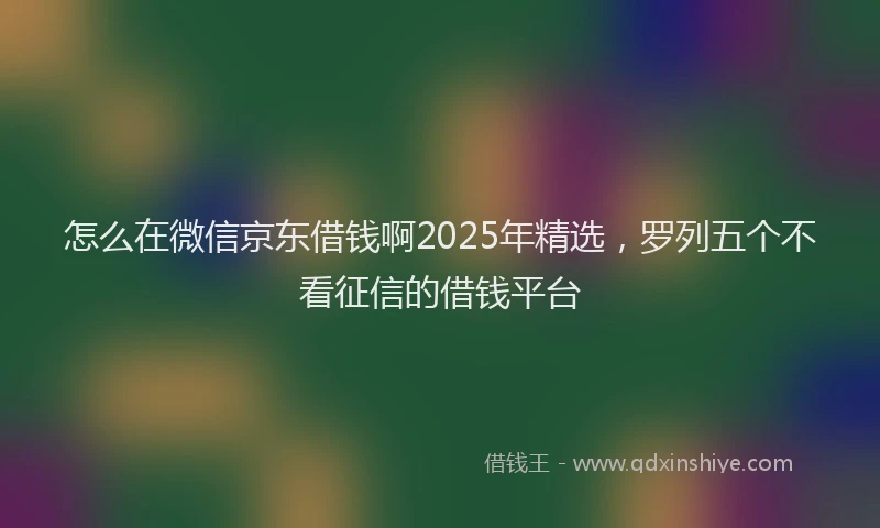 怎么在微信京东借钱啊2025年精选，罗列五个不看征信的借钱平台