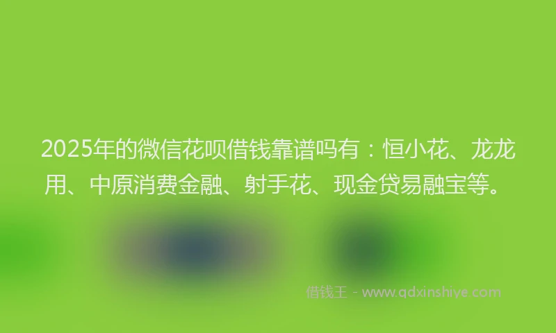2025年的微信花呗借钱靠谱吗有：恒小花、龙龙用、中原消费金融、射手花、现金贷易融宝等。