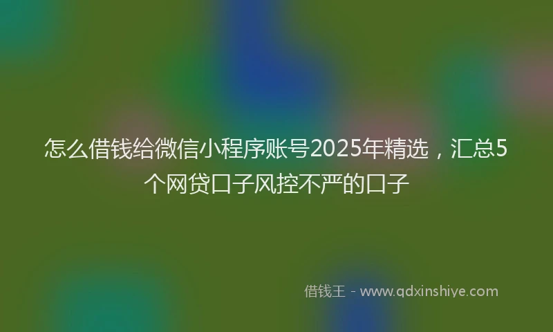 怎么借钱给微信小程序账号2025年精选，汇总5个网贷口子风控不严的口子