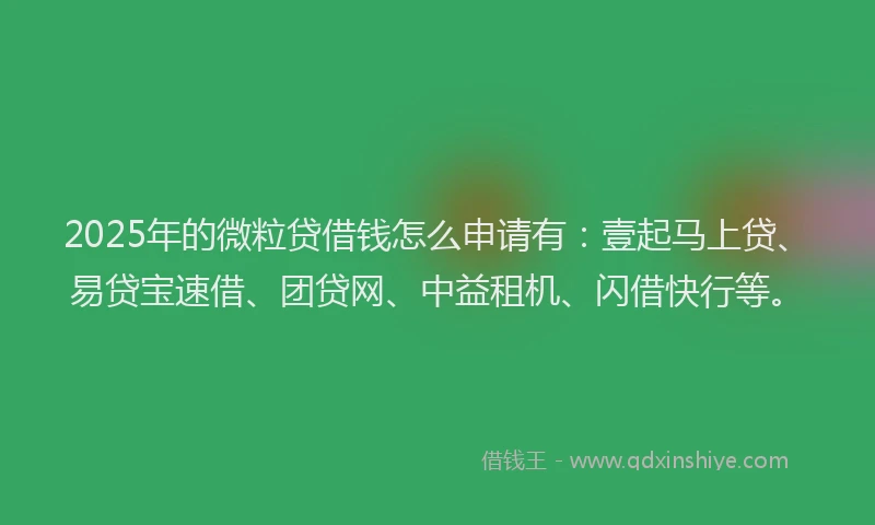 2025年的微粒贷借钱怎么申请有：壹起马上贷、易贷宝速借、团贷网、中益租机、闪借快行等。