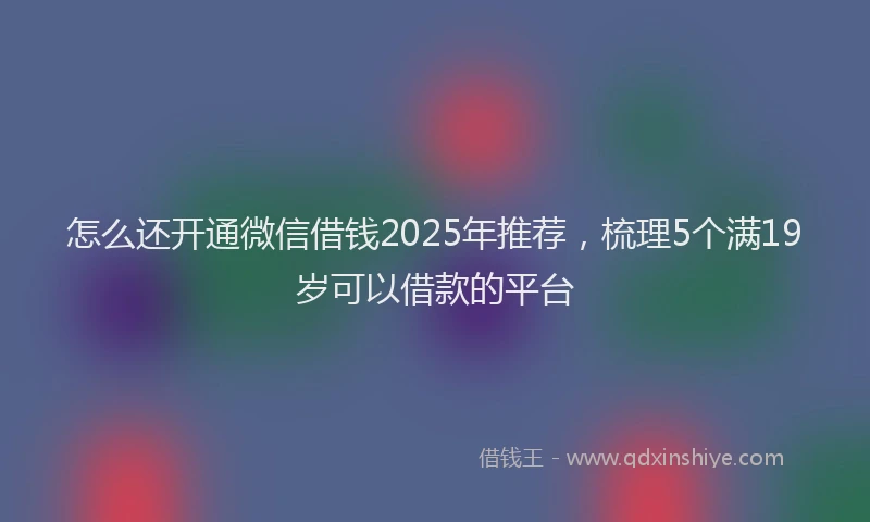 怎么还开通微信借钱2025年推荐，梳理5个满19岁可以借款的平台