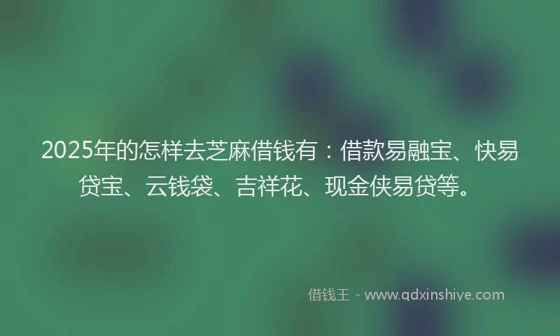 2025年的怎样去芝麻借钱有：借款易融宝、快易贷宝、云钱袋、吉祥花、现金侠易贷等。